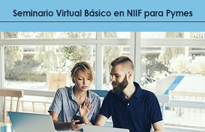 Seminario Virtual Básico en NIIF pymes
